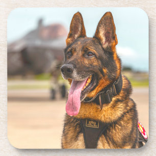 DESSOUS-DE-VERRE CHIEN DE TRAVAIL MILITAIRE AMÉRICAIN