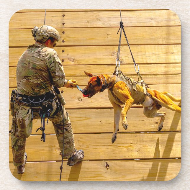 DESSOUS-DE-VERRE CHIEN DE TRAVAIL MILITAIRE AMÉRICAIN (Devant)