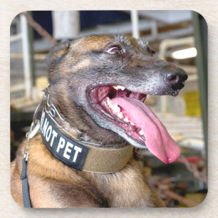 DESSOUS-DE-VERRE CHIEN DE TRAVAIL MILITAIRE AMÉRICAIN