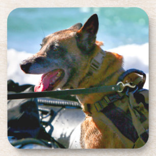 DESSOUS-DE-VERRE CHIEN DE TRAVAIL MILITAIRE AMÉRICAIN