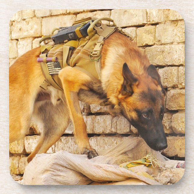 DESSOUS-DE-VERRE CHIEN DE TRAVAIL MILITAIRE AMÉRICAIN (Devant)