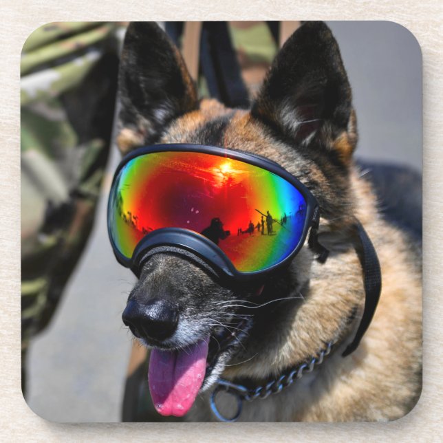 DESSOUS-DE-VERRE CHIEN DE TRAVAIL MILITAIRE AMÉRICAIN (Devant)