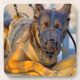 DESSOUS-DE-VERRE CHIEN DE TRAVAIL MILITAIRE AMÉRICAIN