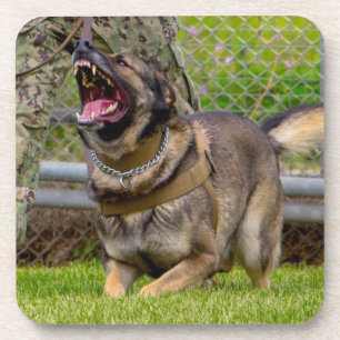 DESSOUS-DE-VERRE CHIEN DE TRAVAIL MILITAIRE AMÉRICAIN