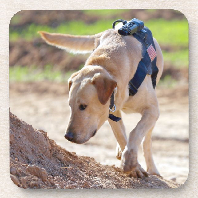 DESSOUS-DE-VERRE CHIEN DE TRAVAIL MILITAIRE AMÉRICAIN (Devant)