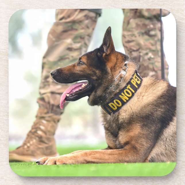 DESSOUS-DE-VERRE CHIEN DE TRAVAIL MILITAIRE AMÉRICAIN (Devant)