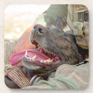DESSOUS-DE-VERRE CHIEN DE TRAVAIL MILITAIRE AMÉRICAIN