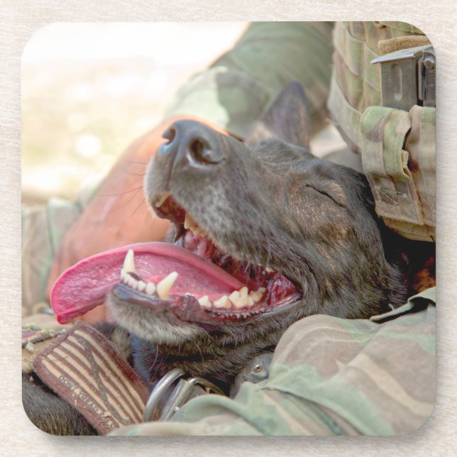 DESSOUS-DE-VERRE CHIEN DE TRAVAIL MILITAIRE AMÉRICAIN (Devant)
