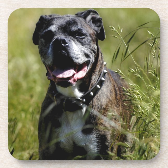 Dessous-de-verre Chien mignon dans l'herbe (Devant)