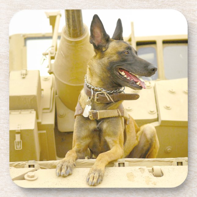 DESSOUS-DE-VERRE CHIEN MILITAIRE DE TRAVAIL (Devant)