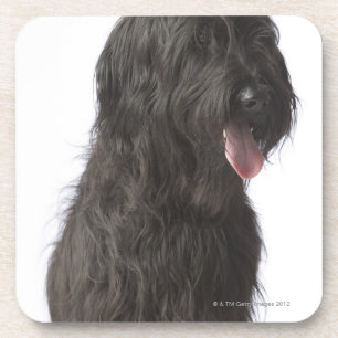 Dessous-de-verre Chien noir, Briard