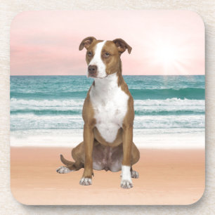 Dessous-de-verre Chien Pitbull mignon assis sur la plage avec couch