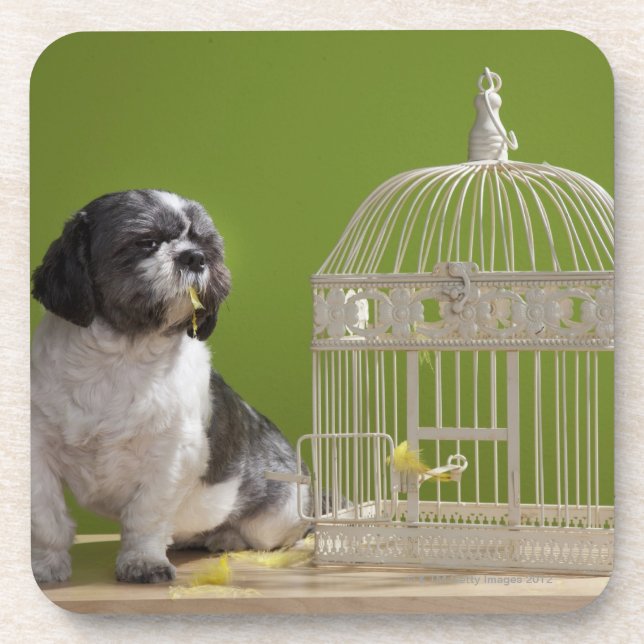 Dessous-de-verre Chien près d'une cage à oiseaux (Devant)