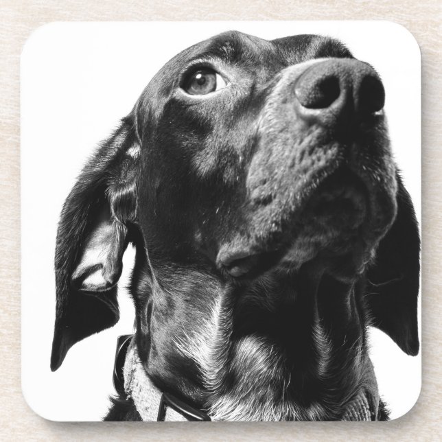 Dessous-de-verre chien royal bw (Devant)