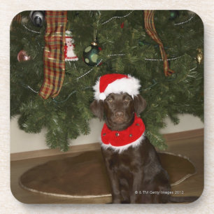 Dessous-de-verre Chien se reposant par un arbre de Noël