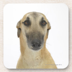 Dessous-de-verre Chien sur le blanc 41