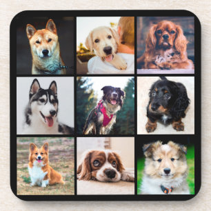 Dessous-de-verre Chiens de marionnettes Instagram Photos