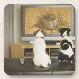 Dessous-de-verre Chiens observant le plat de chien avec la