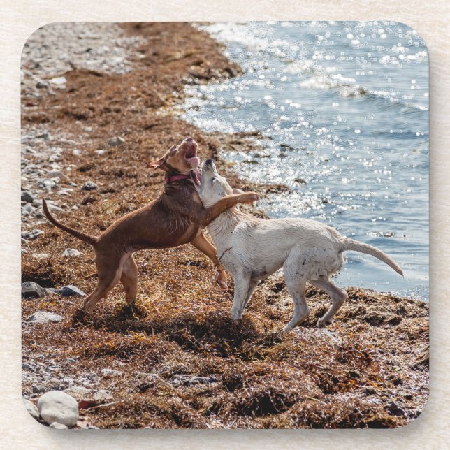 Dessous-de-verre Chiens sur la plage (Devant)
