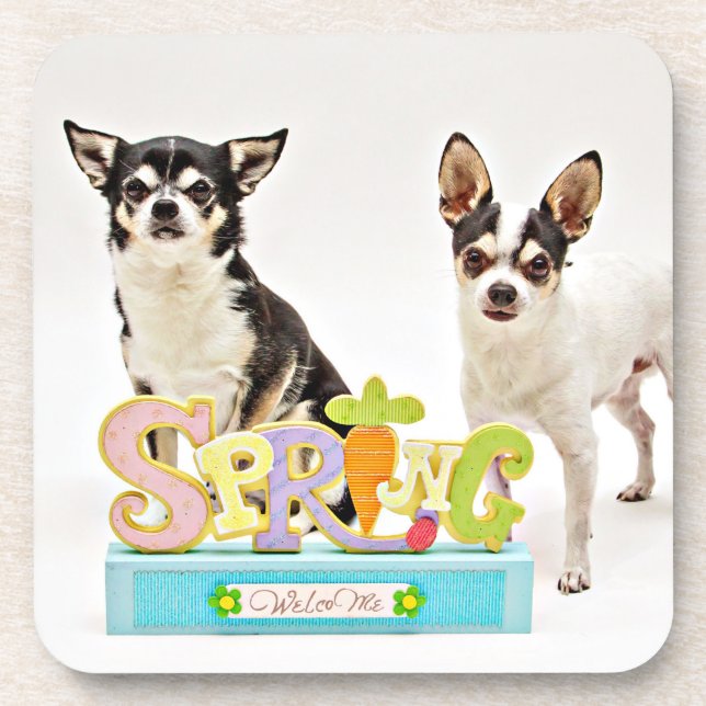 Dessous-de-verre Chihuahua du printemps (Devant)