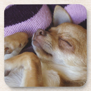 Dessous-de-verre Chihuahua endormi