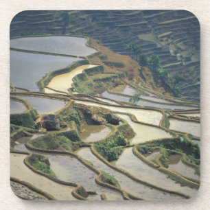 Dessous-de-verre Chine, province du Yunnan. Rizières inondées de