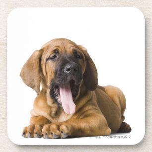 Dessous-de-verre Chiot 2