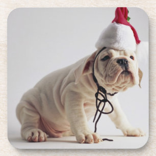 Dessous-de-verre Chiot de bouledogue utilisant le casquette de Pèr