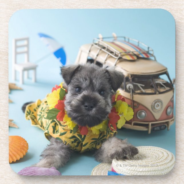 Dessous-de-verre Chiot de Schnauzer miniature et vacances d'été (Devant)
