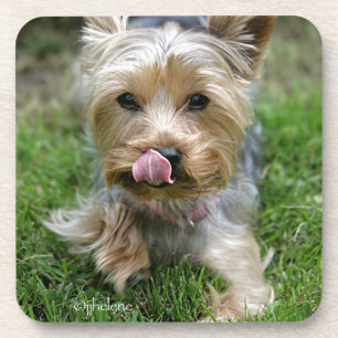 Dessous-de-verre Chiot de Yorkshire Terrier - "conception de