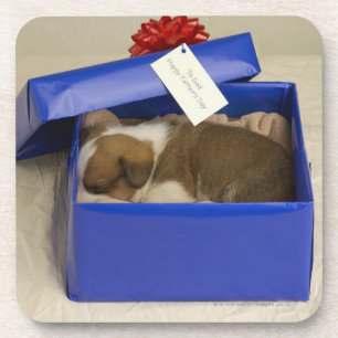 Dessous-de-verre Chiot dormant dans une boîte-cadeau