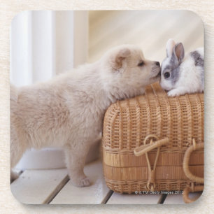 Dessous-de-verre Chiot et lapin