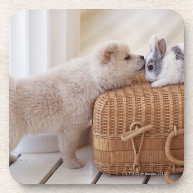 Dessous-de-verre Chiot et lapin (Devant)