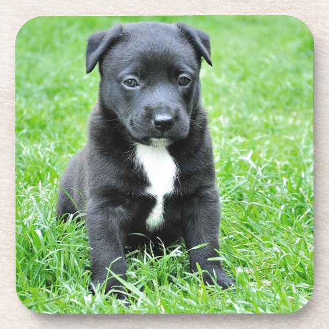 Dessous-de-verre Chiot totalement adorable (Devant)