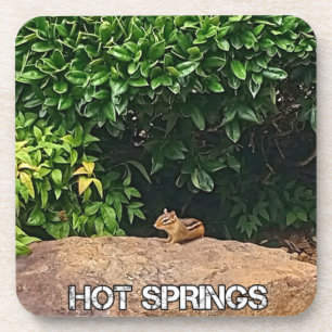 Dessous-de-verre Chipmunk dans les sources chaudes