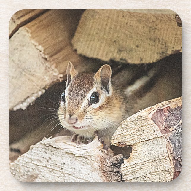 Dessous-de-verre Chipmunk dans une pile de bois (Devant)