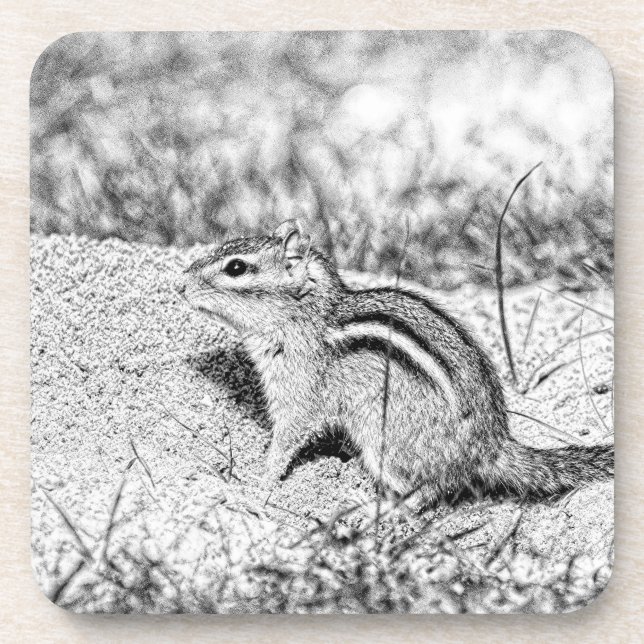 Dessous-de-verre Chipmunk Sketch (Devant)
