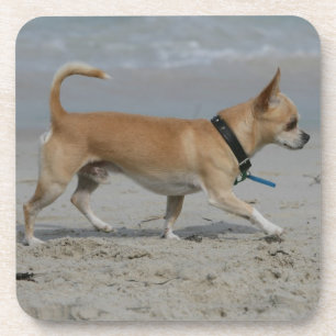 Dessous-de-verre Chiwawa sur la plage