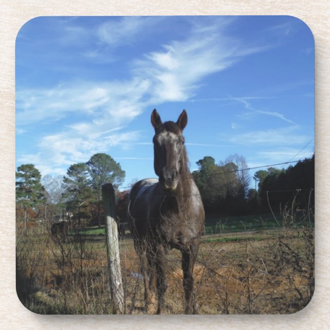 Dessous-de-verre Chocolat au lait Cheval Brown en bleu (Devant)
