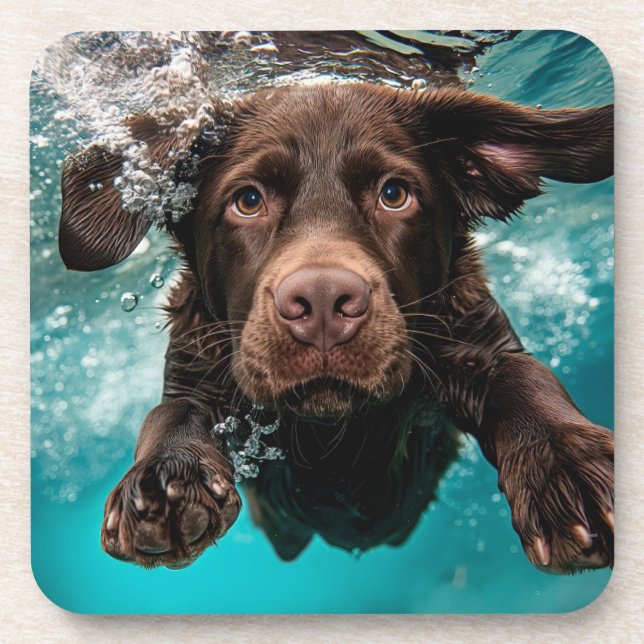 Dessous-de-verre Chocolat Joueur Labrador nage sous l'eau (Devant)