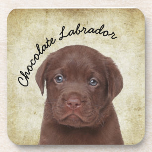 Dessous-de-verre Chocolat Labrador