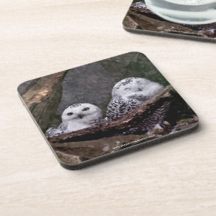 Dessous-de-verre Chouette Harfang Couple Art Bois Faune