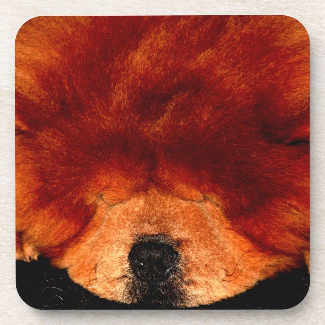 Dessous-de-verre Chow Chow Chow Coastercna (Devant)