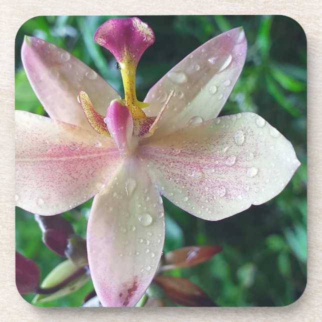 DESSOUS-DE-VERRE CHRISTMAS LOVE GIFT WOMEN , GIRLFRIEND MOM (Devant)