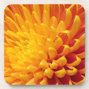 Dessous-de-verre Chrysanthème jaune et orange