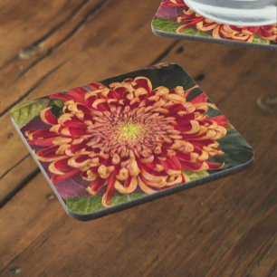 Dessous-de-verre Chrysanthème rouge et jaune Floral