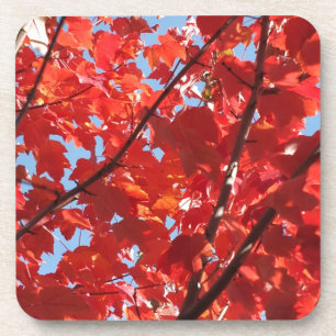 Dessous-de-verre Chute rouge