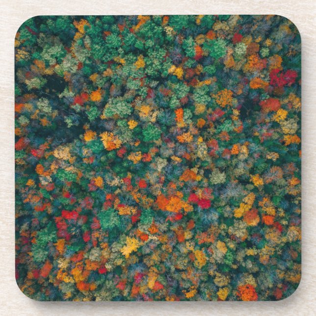Dessous-de-verre Cimes colorées (Devant)