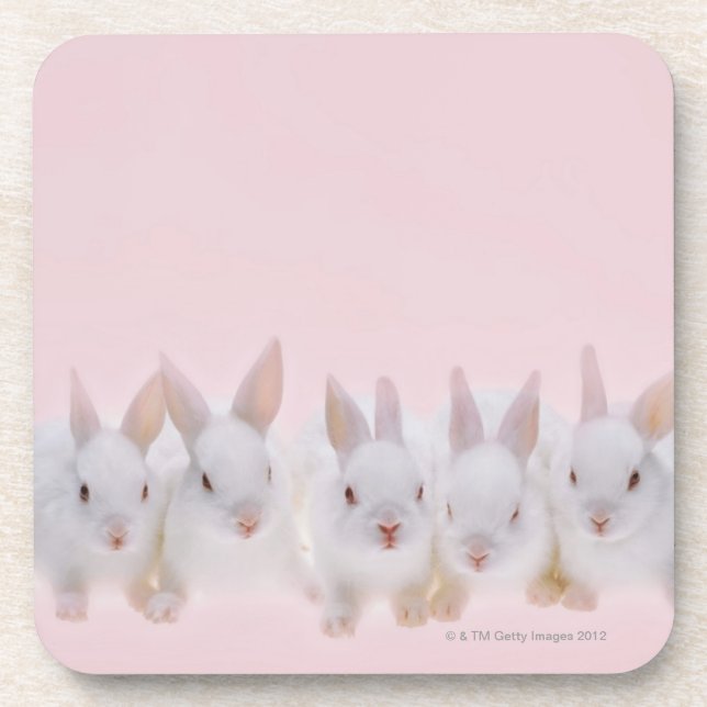 Dessous-de-verre Cinq lapins 2 (Devant)