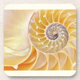 Dessous-de-verre Coaster de boisson Nautilus Seashell